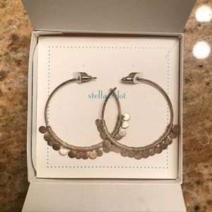 Stella & Dot Silver Hoop Earrings